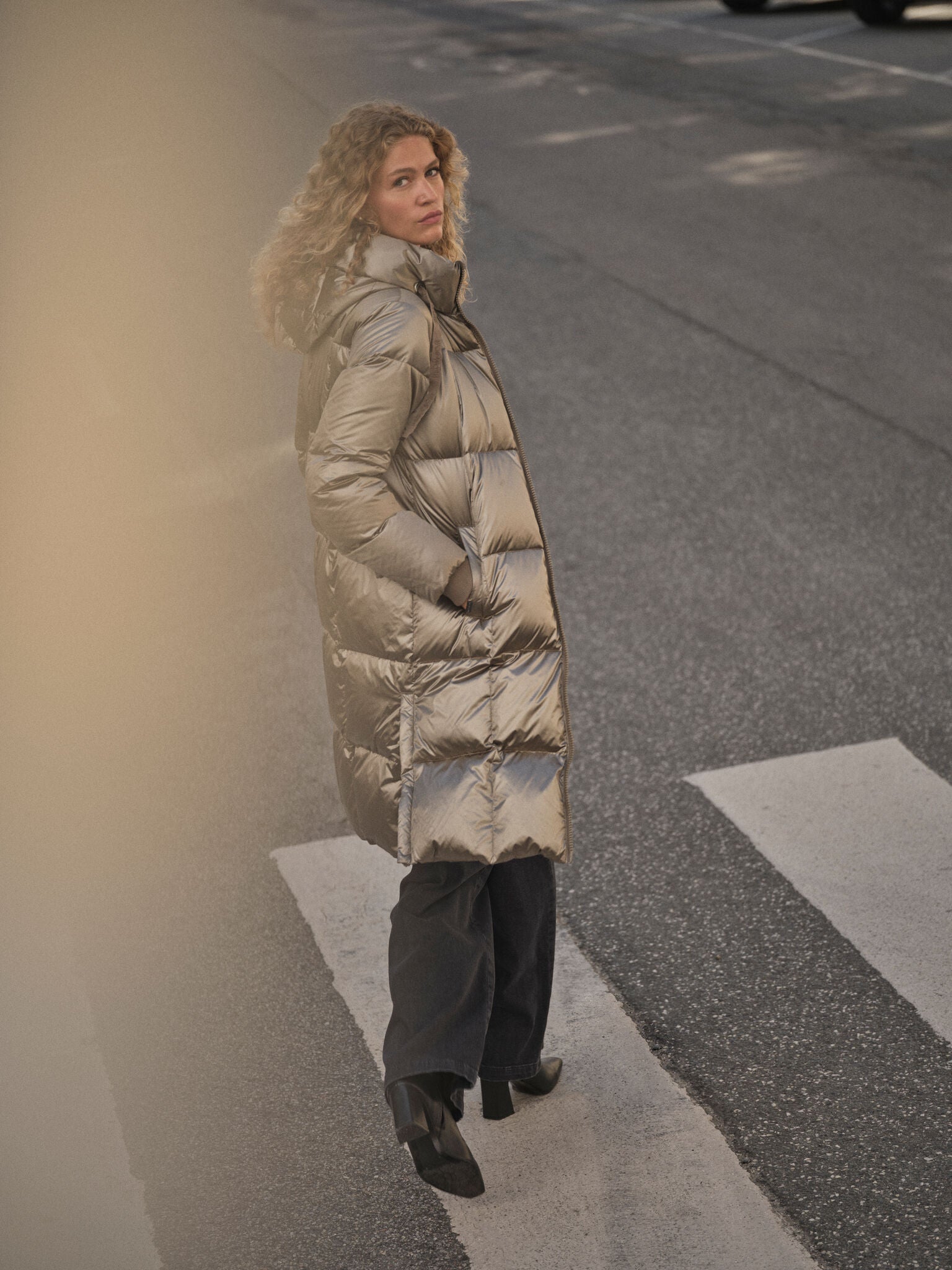 Modelshot / Brindle / Detail